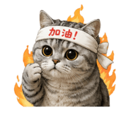 856063215