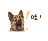 856063255