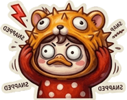 856063362