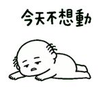 856063876