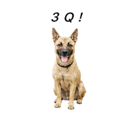 856064085