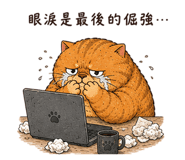 856064267