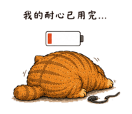 856064279