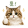 856065383