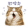 856065384