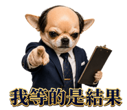 856065571