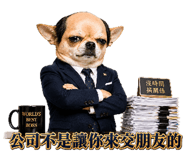 856065579