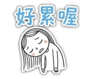 856066504
