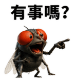 856066591