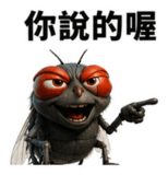 856066606