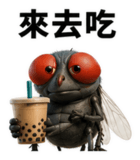 856066607