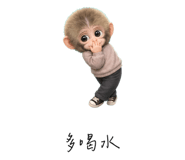 856067204