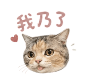 856070103