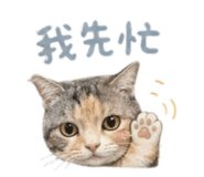 856070104