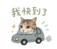 856070108