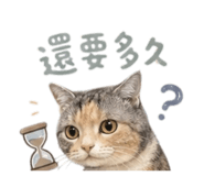 856070109