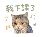 856070112