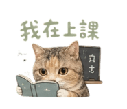 856070113