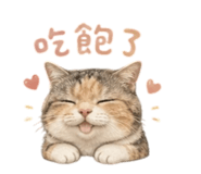 856070119