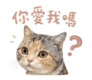 856070120