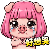 856072282