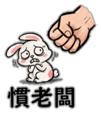 856072565