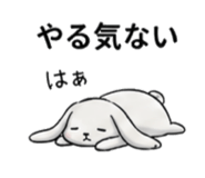 856072817