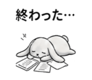 856072844