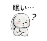 856072853