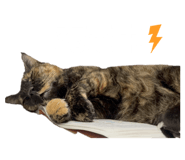 856079099