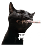 856079102