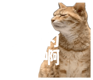 856079122