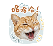 856079130