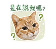 856079142