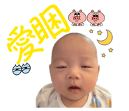 856080015
