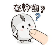 856080036