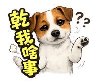 856082104