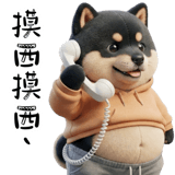 856082463