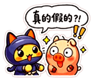 856083226
