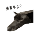 856084321