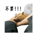 856084322