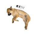 856084324
