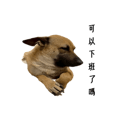 856084325