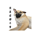 856084327