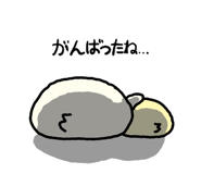 856086123