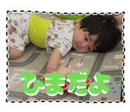 856086258