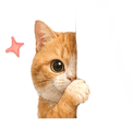 856088032