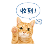 856088036
