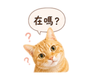 856088038
