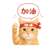 856088041